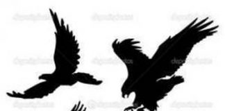 324x160 Eagle Tattoos