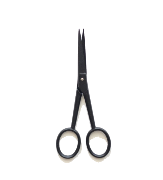 545x600 Passion For Paper