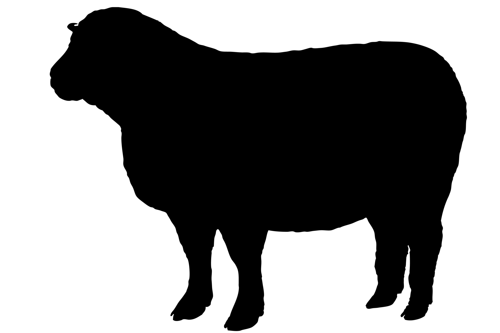 1920x1280 Sheep Black Silhouette Free Stock Photo