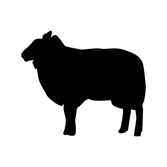 570x570 Sheep Farm Animals Graphics Svg Dxf Eps Png Cdr Ai Pdf Vector Art