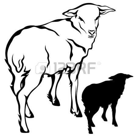 447x450 Sheep Silhouette Stock Vector Illustration And Royalty Free Sheep