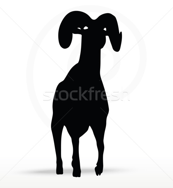 553x600 Big Horn Sheep Silhouette In Walking Pose Vector Illustration