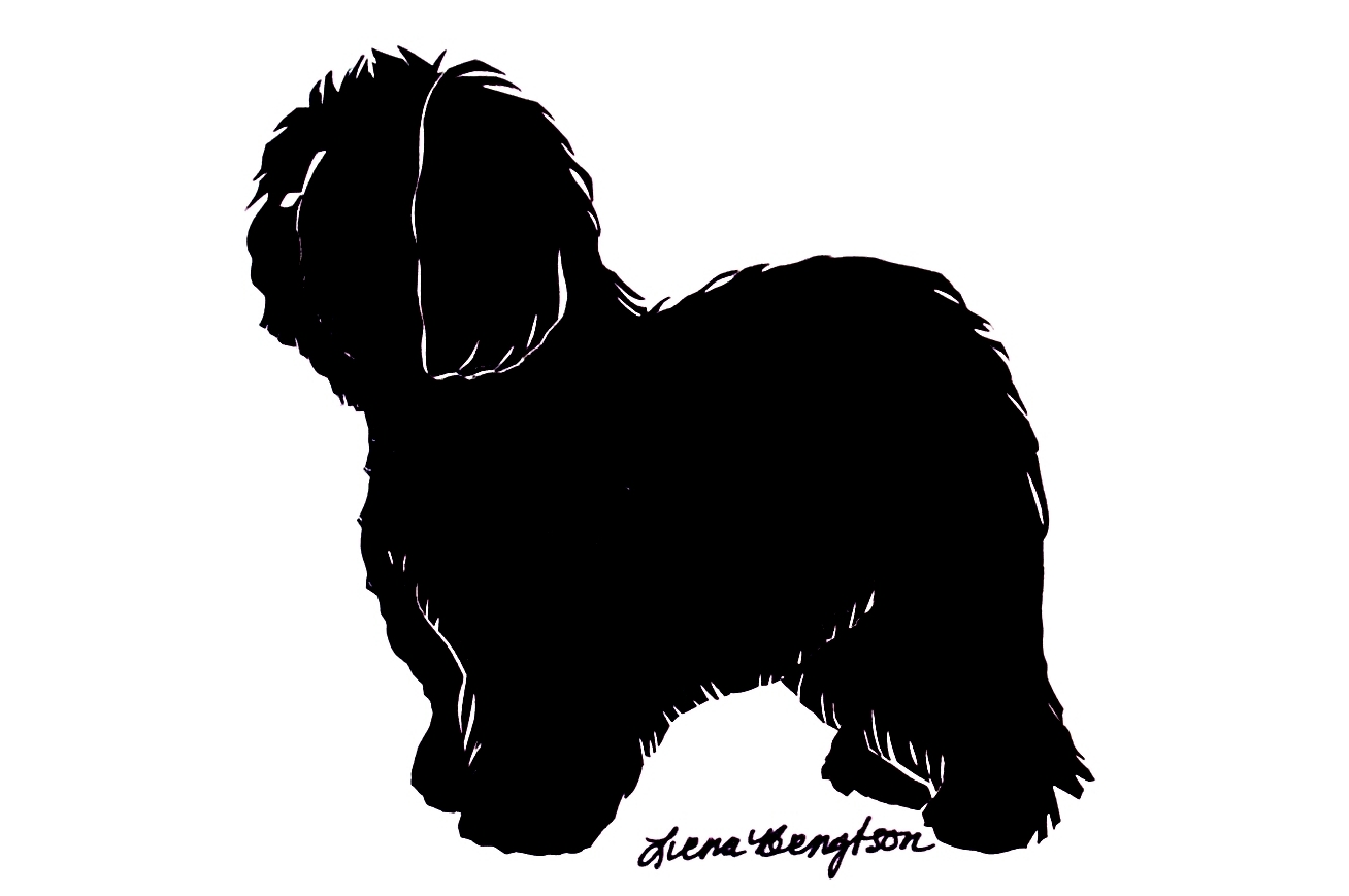 1308x869 Pet Gallery8