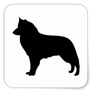 307x307 Belgian Sheepdog Silhouette Stickers Zazzle