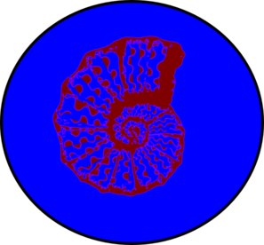 297x276 Shell Silhouette Clip Art