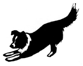 340x270 Border Collie Clipart Silhouette