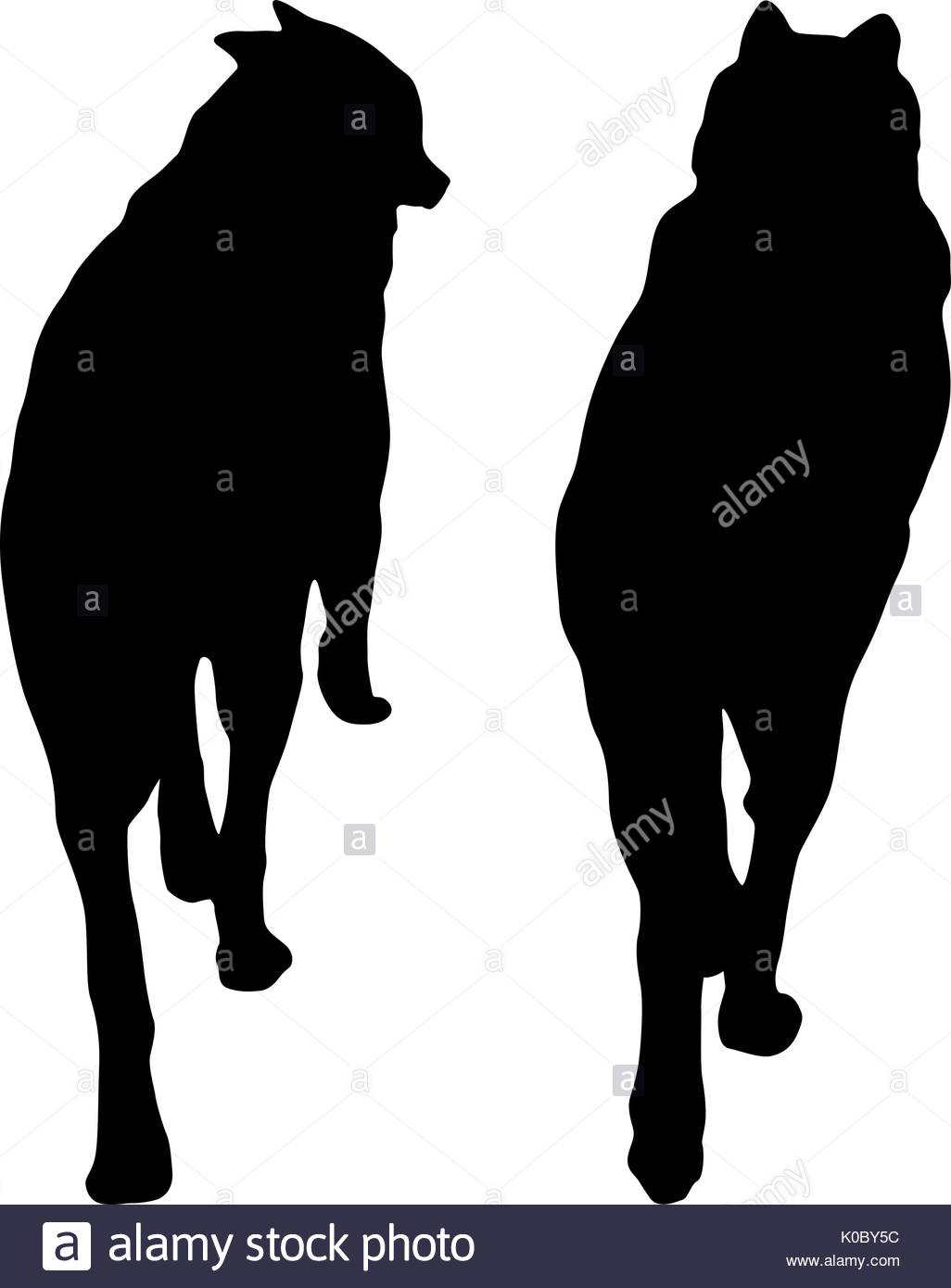 1026x1390 Shepherd Stock Vector Images