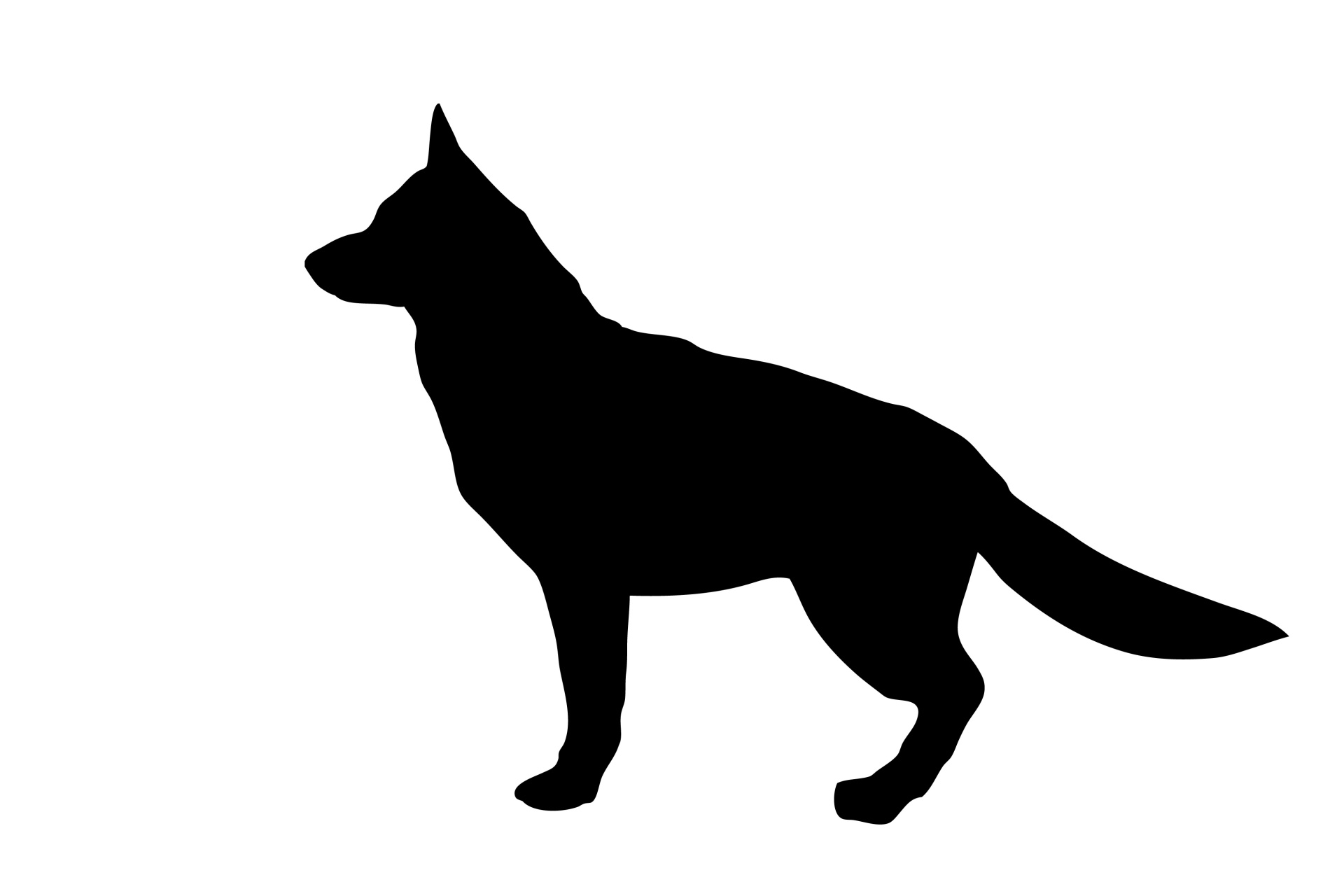 1920x1280 German Shepherd Dog Silhouette Free Stock Photo