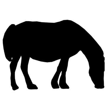 372x340 Free Photo Silhouette, Sendai, Ida Zongzong