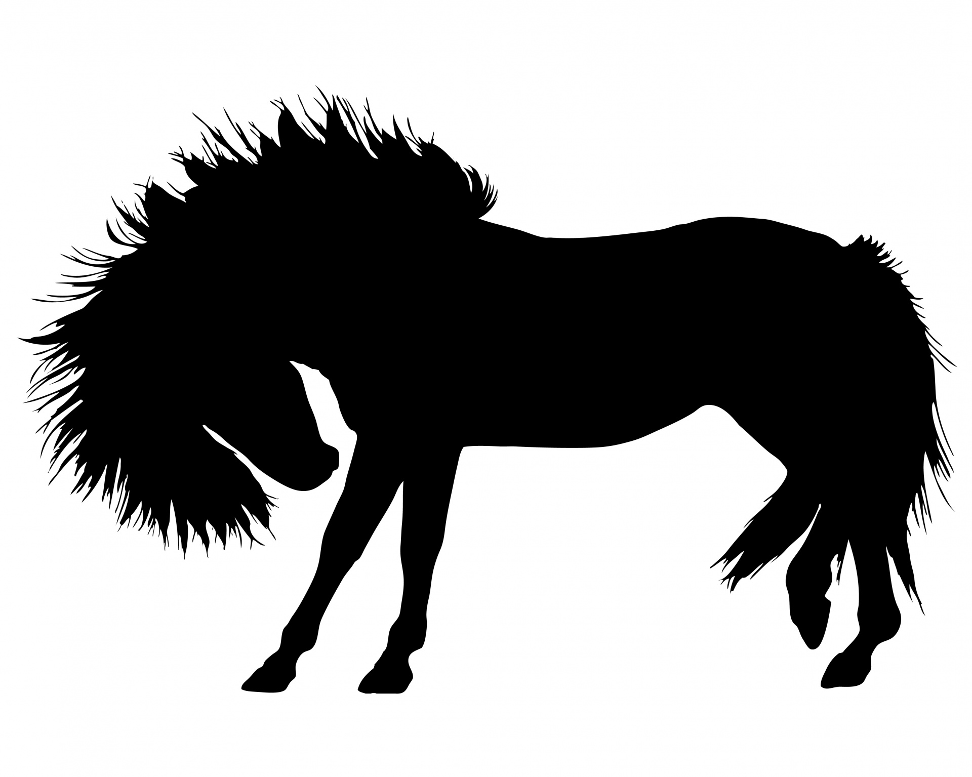 1920x1535 Horse Silhouette Free Stock Photo
