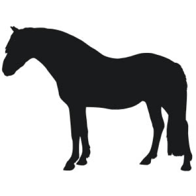 400x400 Pony Horse Vinyl Decal Sticker