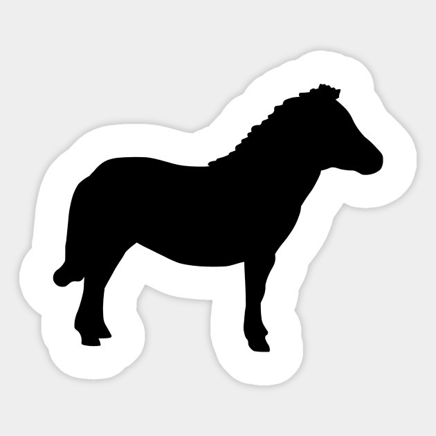 630x630 Shetland Pony