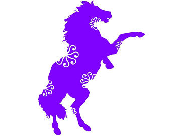 340x270 Shetland Pony Etsy