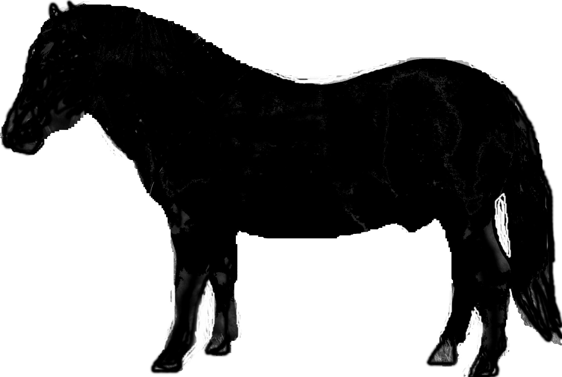 1861x1251 Sidebyside