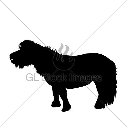500x500 Black Pony Silhouette Gl Stock Images