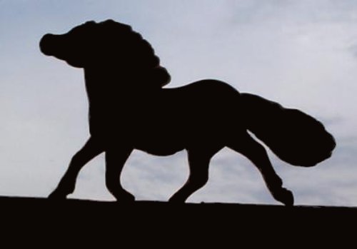 500x349 Breyer Stablemates Shetland Pony Mold