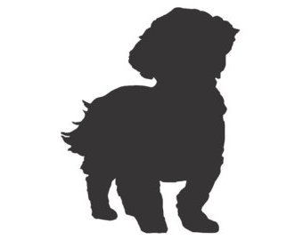 340x270 Shih Tzu Clipart Black And White Many Interesting Cliparts