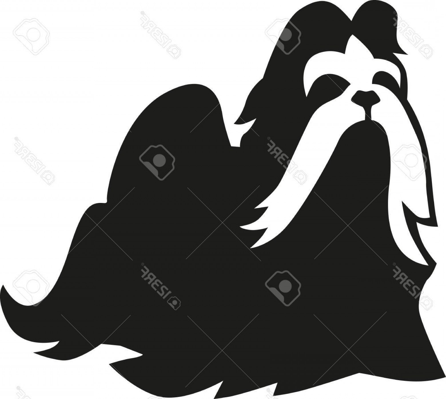 1560x1396 Photostock Vector Shih Tzu With Long Hair Createmepink