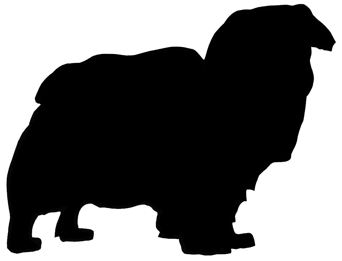 1110x847 Scottish Terrier