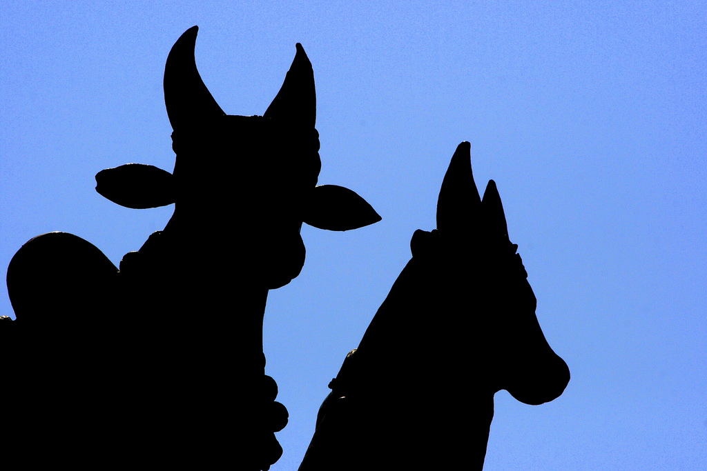 1024x683 The World's Best Photos Of Chennaitemples And Shiva