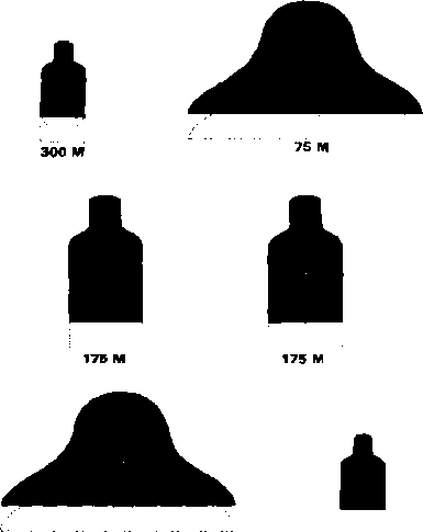 385x485 Figure E Slow Fire Silhouette Target