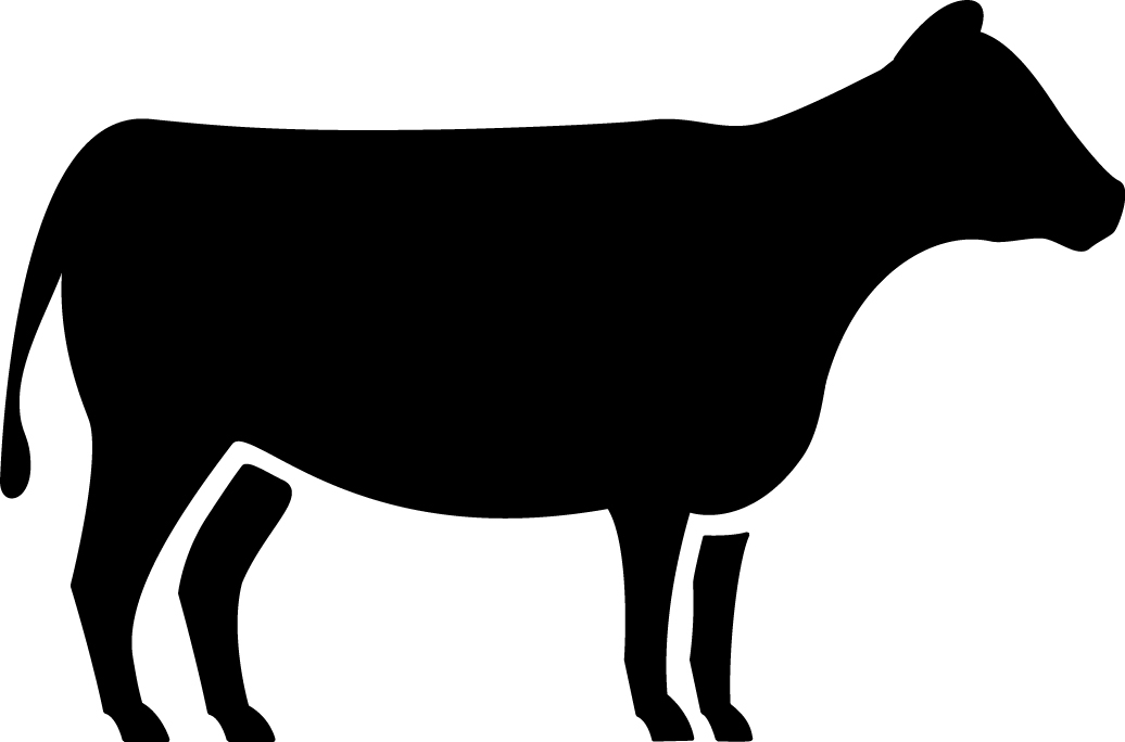 1036x684 European Medicines Agency