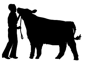 304x238 Gavin B Keymann Memorial Livestock Show Purple To Win Tribune, Ks