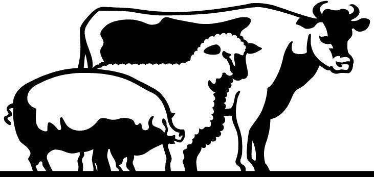 731x347 Livestock Show Clipart