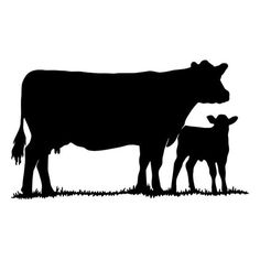 236x236 Show Heifer Clip Art Cow Silhouette 1 Decal Sticker More