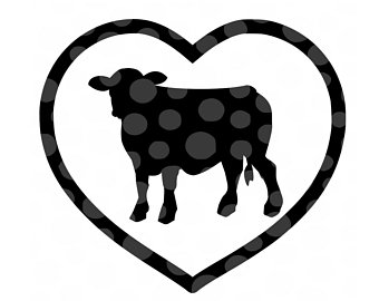 340x270 Show Heifer Etsy