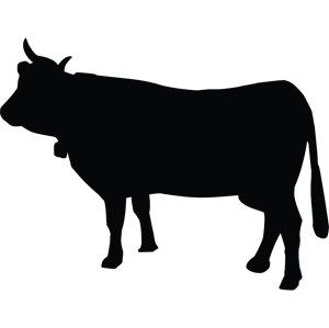 Show Cow Silhouette at GetDrawings | Free download