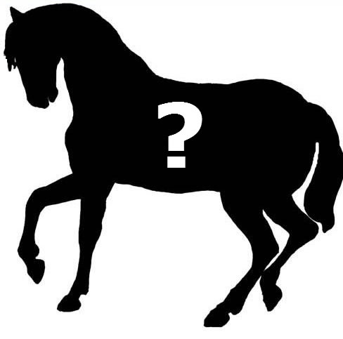 488x483 A Story That Will Stun Irish Show Jumping' Broadsheet.ie