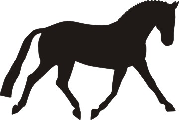 360x242 Dressage Horse Silhouette Dressage Pony Horse Silhouette Decal