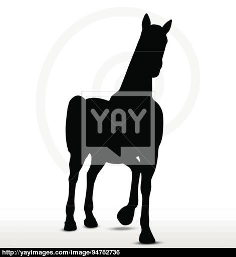 471x512 Horse Silhouette In Show Horse Position Vector