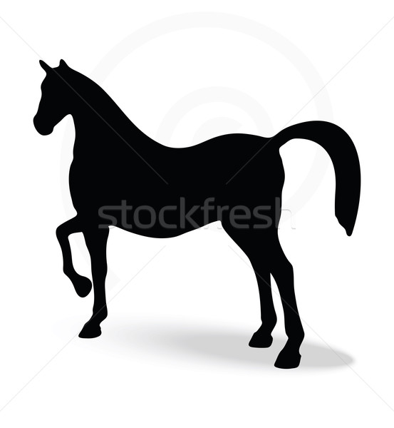 553x600 Silhouette In Show Horse Pose Vector Illustration Benguhan
