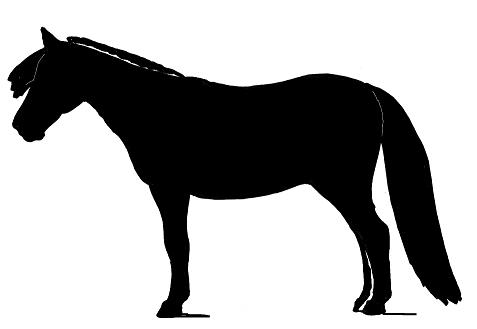 477x329 Body Type And Proportion Outlines