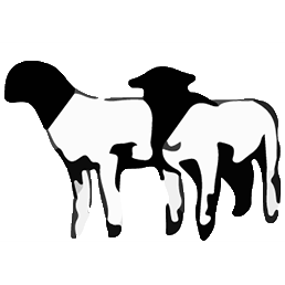 258x258 On The Lamb Herding