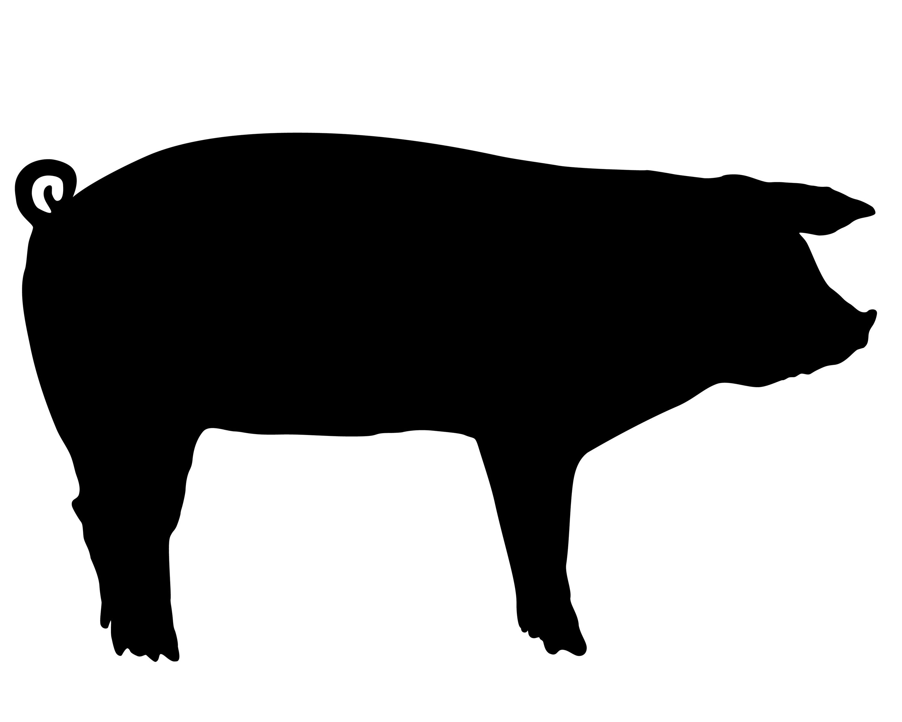 Show Pig Silhouette at GetDrawings | Free download