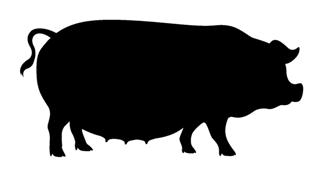 320x184 Pig Silhouette 5 Decal Sticker