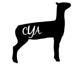 340x270 Personalized Pillowcase Sheep Pillow Cover Room Decor