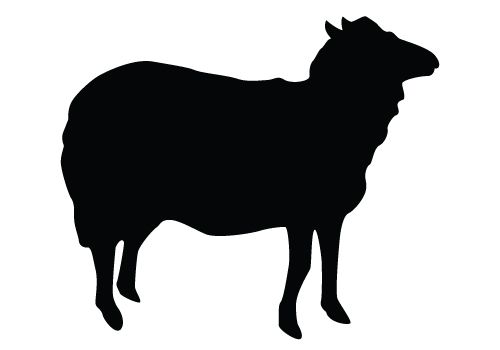 500x350 Sheep Silhouette Vector Download Silhouette Graphics Animal