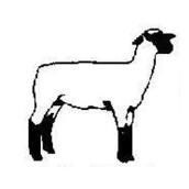 172x172 Show Lamb Silhouette Silhouette Printables Lambs