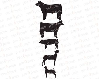 340x270 Show Heifer Etsy