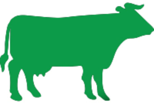 500x333 Thumb Jackpot