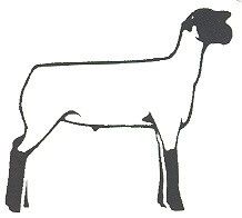 218x196 Animal Clipart Livestock Show