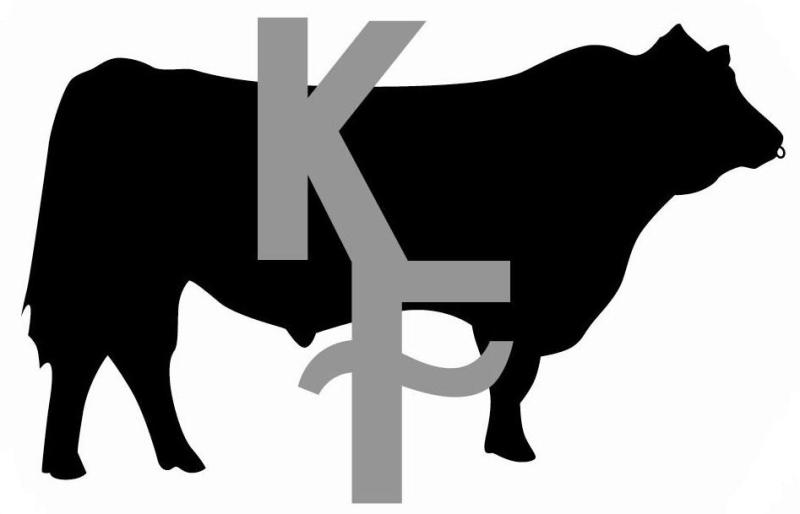 800x514 Show Cattle Clip Art