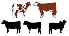 Show Steer Silhouette at GetDrawings | Free download