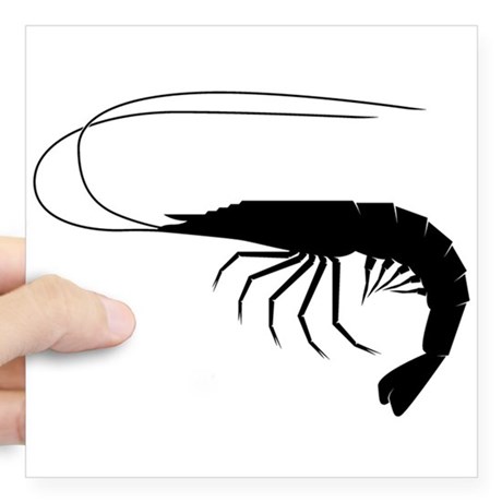 460x460 Shrimp Square Stickers