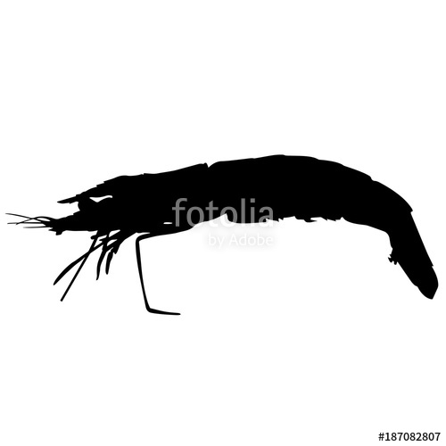 500x500 Prawn Silhouette Vector Graphics Stock Image And Royalty Free