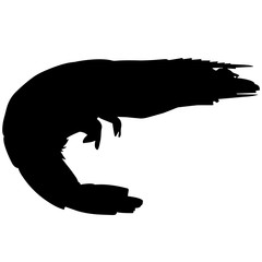 240x240 Search Photos Shrimp Like